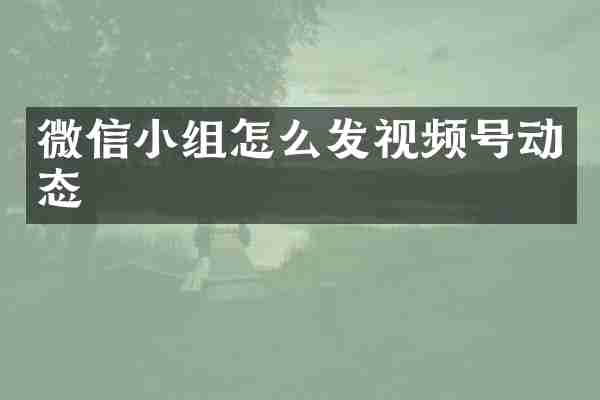 微信小组怎么发视频号动态