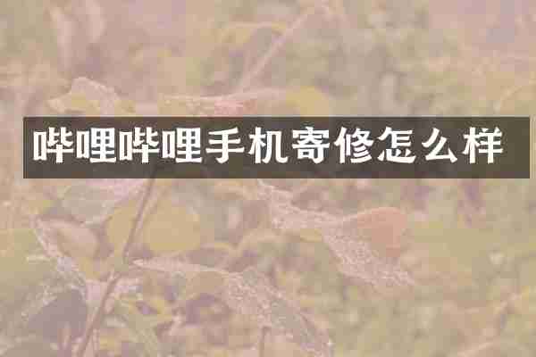 哔哩哔哩手机寄修怎么样