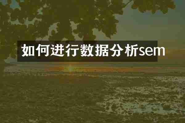 如何进行数据分析sem
