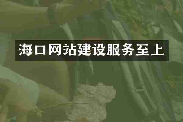 海口网站建设服务至上