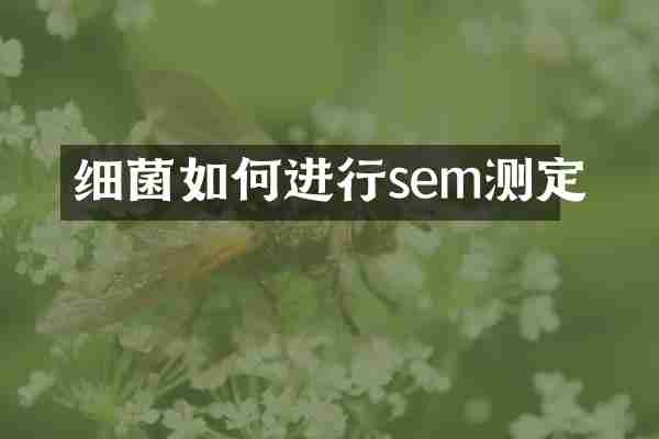 细菌如何进行sem测定