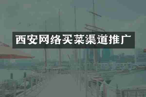 西安网络买菜渠道推广