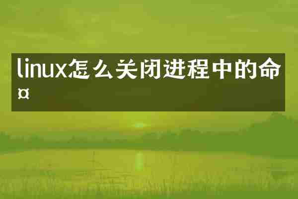 linux怎么关闭进程中的命令