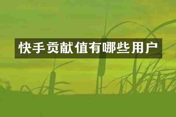 快手贡献值有哪些用户