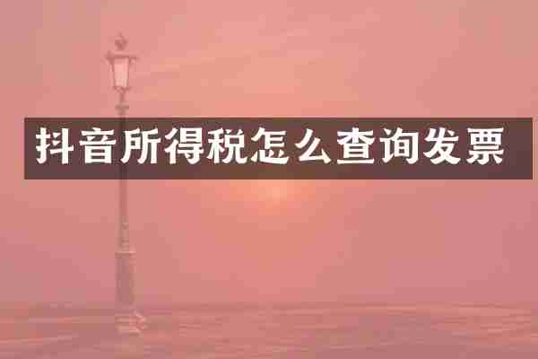 抖音所得税怎么查询发票