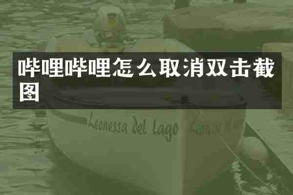 哔哩哔哩怎么取消双击截图