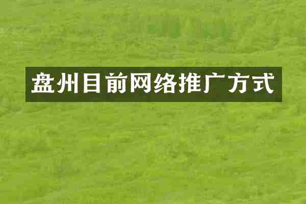 盘州目前网络推广方式