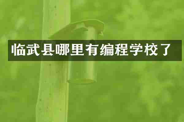 临武县哪里有编程学校了