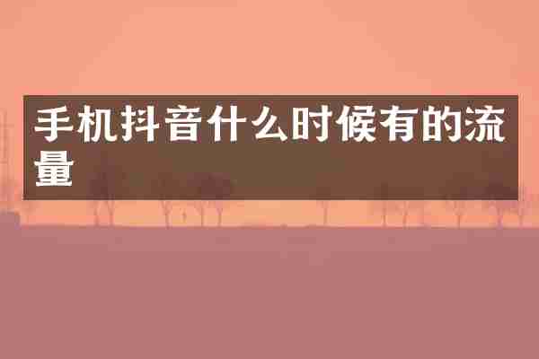 手机抖音什么时候有的流量