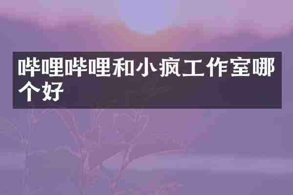 哔哩哔哩和小疯工作室哪个好