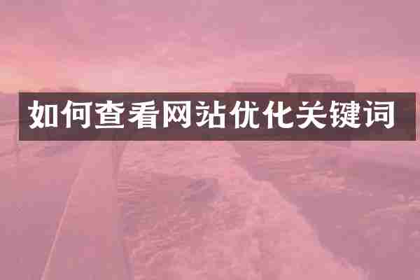 如何查看网站优化关键词