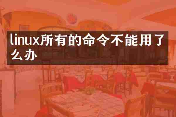 linux所有的命令不能用了怎么办