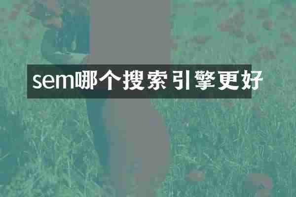 sem哪个搜索引擎更好