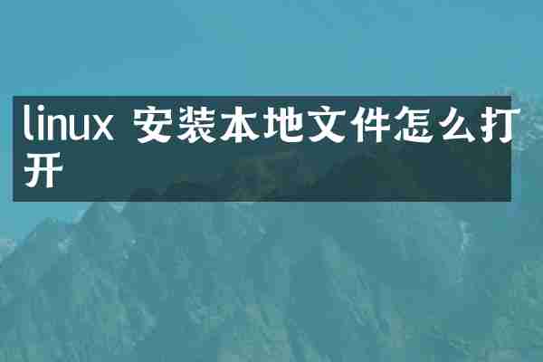 linux 安装本地文件怎么打开