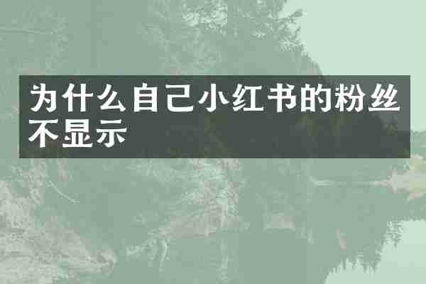 为什么自己小红书的粉丝不显示