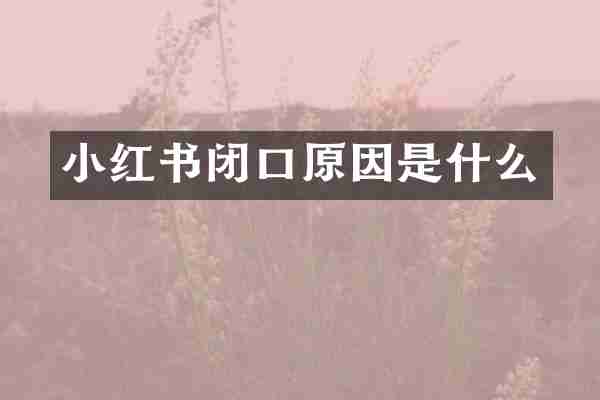 小红书闭口原因是什么