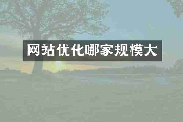 网站优化哪家规模大