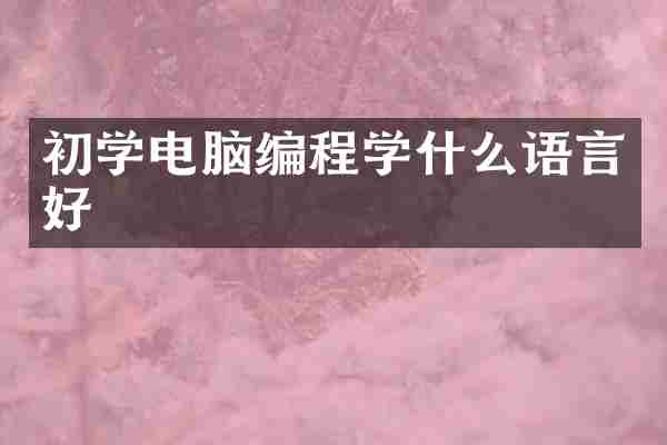 初学电脑编程学什么语言好