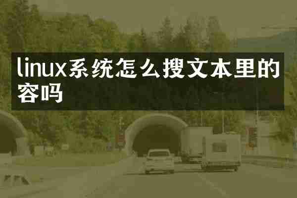 linux系统怎么搜文本里的内容吗
