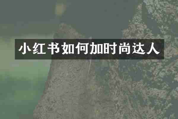 小红书如何加时尚达人