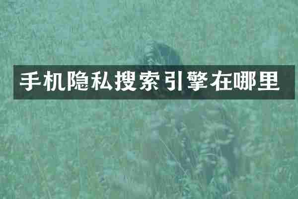 手机隐私搜索引擎在哪里