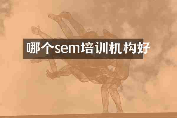 哪个sem培训机构好