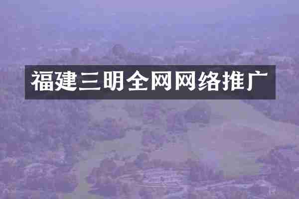 福建三明全网网络推广
