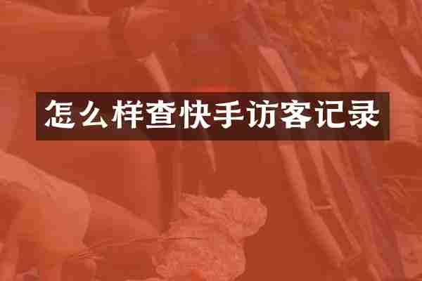 怎么样查快手访客记录