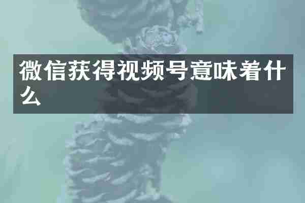 微信获得视频号意味着什么