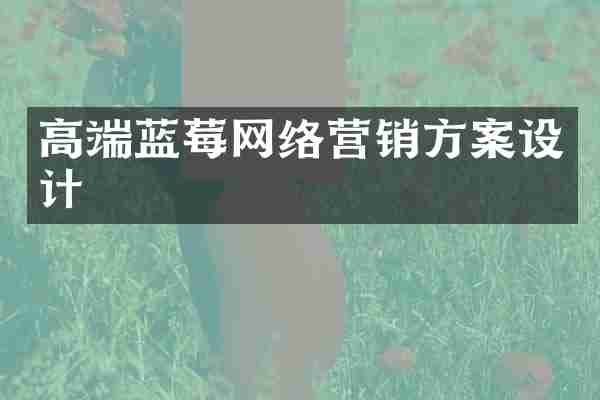 高端蓝莓网络营销方案设计