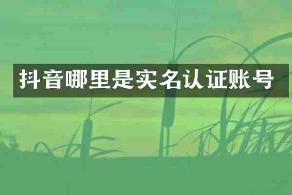 抖音哪里是实名认证账号
