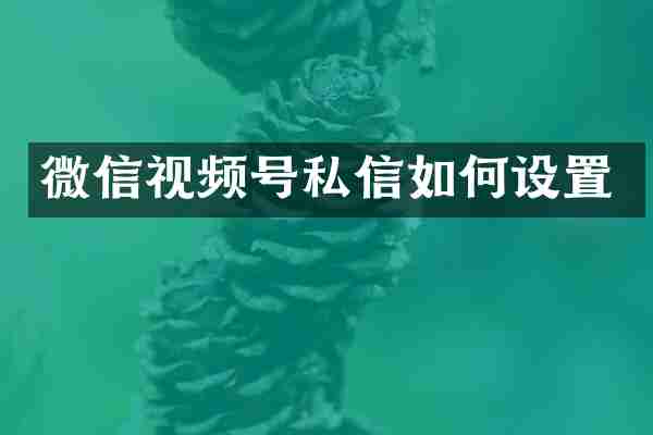 微信视频号私信如何设置