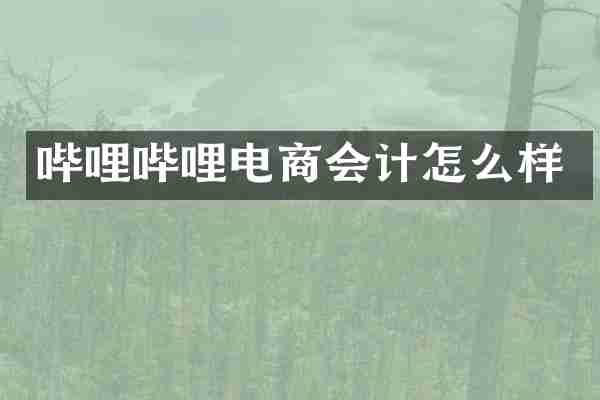 哔哩哔哩电商会计怎么样