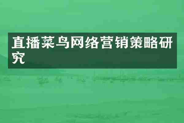 直播菜鸟网络营销策略研究