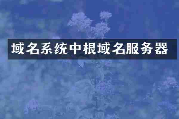 域名系统中根域名服务器