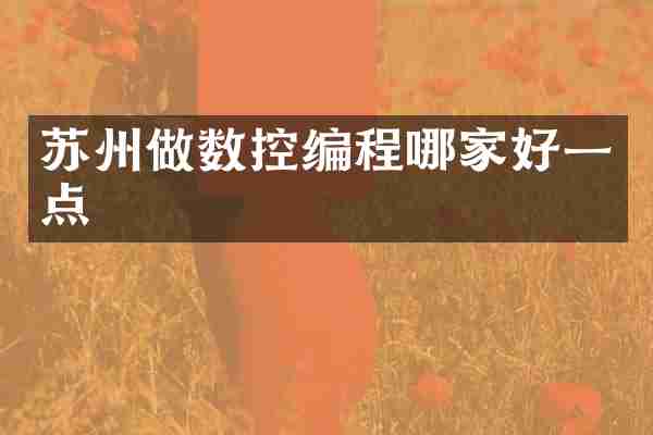 苏州做数控编程哪家好一点