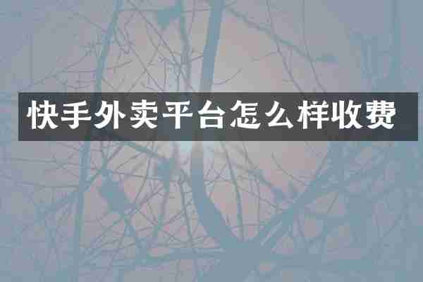 快手外卖平台怎么样收费