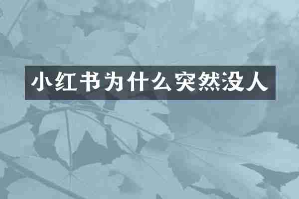 小红书为什么突然没人