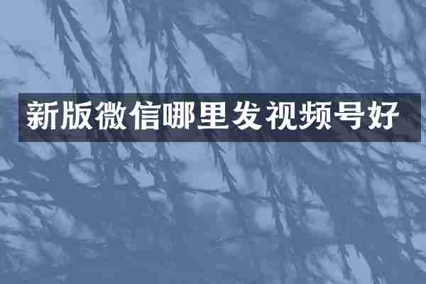 新版微信哪里发视频号好
