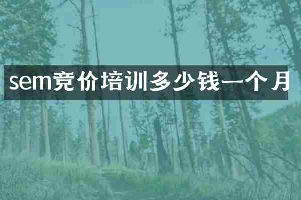 sem竞价培训多少钱一个月