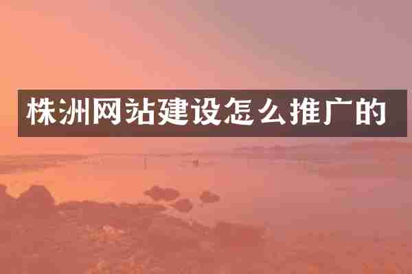 株洲网站建设怎么推广的