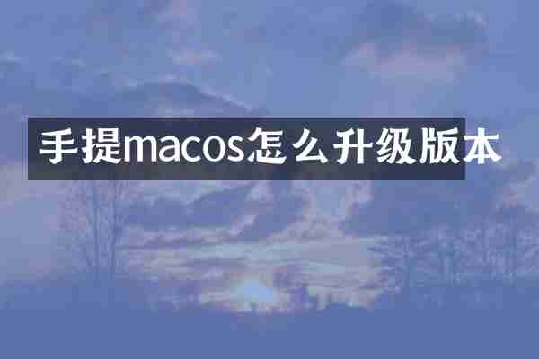 手提macos怎么升级版本
