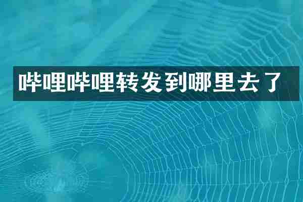 哔哩哔哩转发到哪里去了
