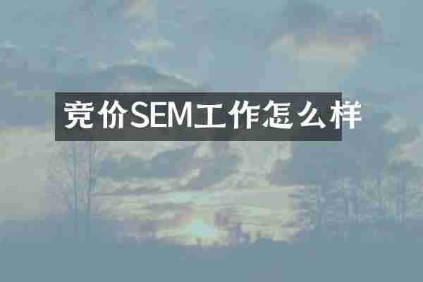 竞价SEM工作怎么样