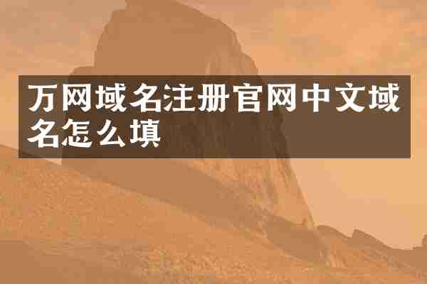 万网域名注册官网中文域名怎么填