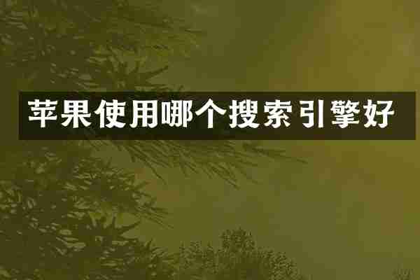 苹果使用哪个搜索引擎好