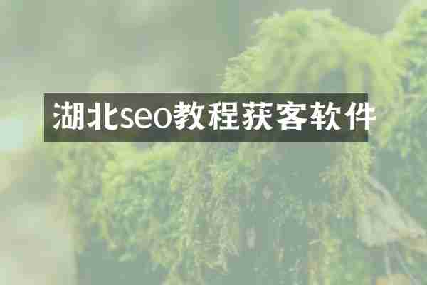 湖北seo教程获客软件