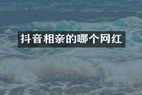 抖音相亲的哪个网红