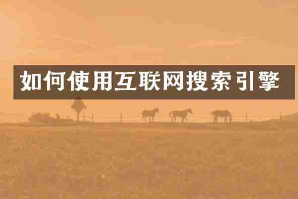 如何使用互联网搜索引擎