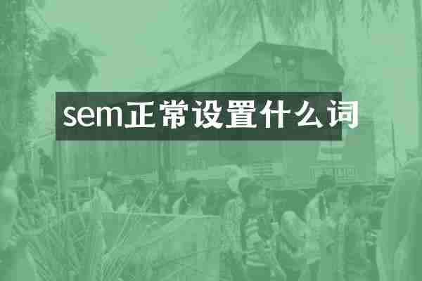 sem正常设置什么词